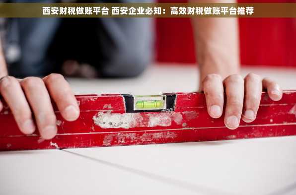 西安财税做账平台 西安企业必知：高效财税做账平台推荐