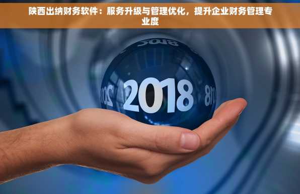 陕西出纳财务软件：服务升级与管理优化，提升企业财务管理专业度
