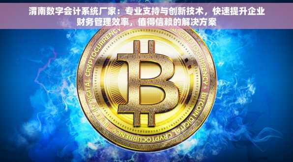 渭南数字会计系统厂家：专业支持与创新技术，快速提升企业财务管理效率，值得信赖的解决方案