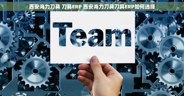 西安海力刀具 刀具ERP 西安海力刀具刀具ERP如何选择