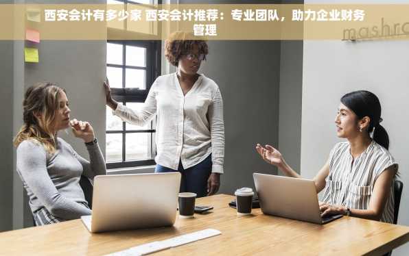 西安会计有多少家 西安会计推荐：专业团队，助力企业财务管理