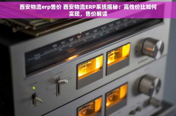 西安物流erp售价 西安物流ERP系统揭秘：高性价比如何实现，售价解读