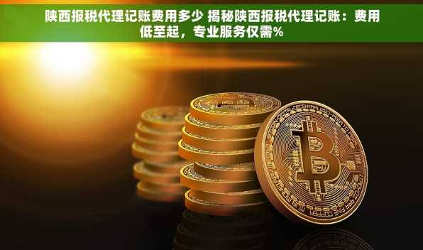 陕西报税代理记账费用多少 揭秘陕西报税代理记账：费用低至起，专业服务仅需%