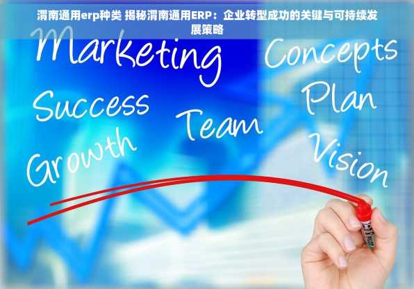 渭南通用erp种类 揭秘渭南通用ERP：企业转型成功的关键与可持续发展策略