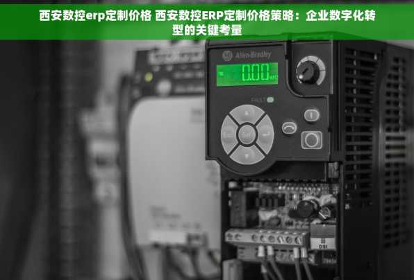 西安数控erp定制价格 西安数控ERP定制价格策略：企业数字化转型的关键考量