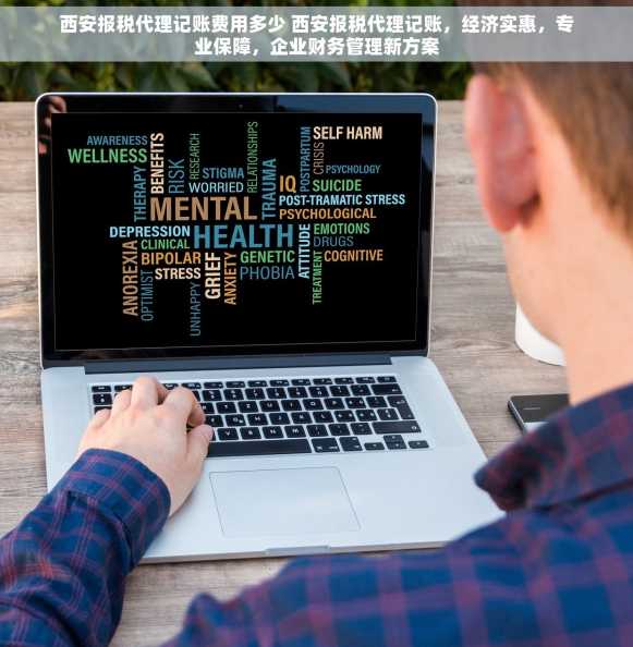 西安报税代理记账费用多少 西安报税代理记账，经济实惠，专业保障，企业财务管理新方案