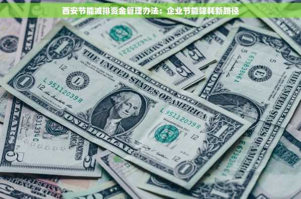 西安节能减排资金管理办法：企业节能降耗新路径