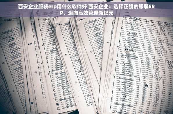 西安企业服装erp用什么软件好 西安企业：选择正确的服装ERP，迈向高效管理新纪元