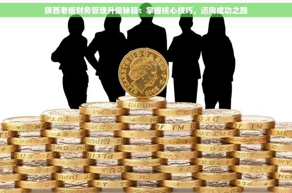 陕西老板财务管理升级秘籍：掌握核心技巧，迈向成功之路