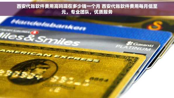 西安代账软件费用高吗现在多少钱一个月 西安代账软件费用每月低至元，专业团队，优质服务