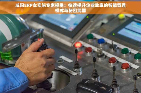 咸阳ERP女实施专家视角：快速提升企业效率的智能管理模式与秘密武器