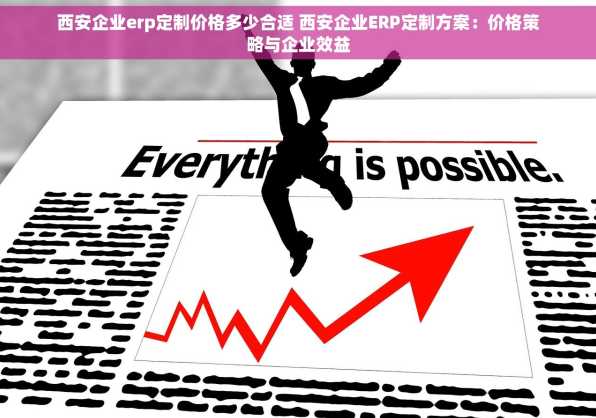 西安企业erp定制价格多少合适 西安企业ERP定制方案：价格策略与企业效益