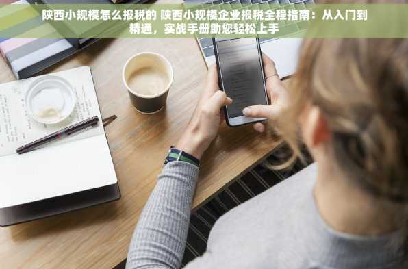陕西小规模怎么报税的 陕西小规模企业报税全程指南：从入门到精通，实战手册助您轻松上手