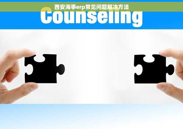 西安海事erp常见问题解决方法