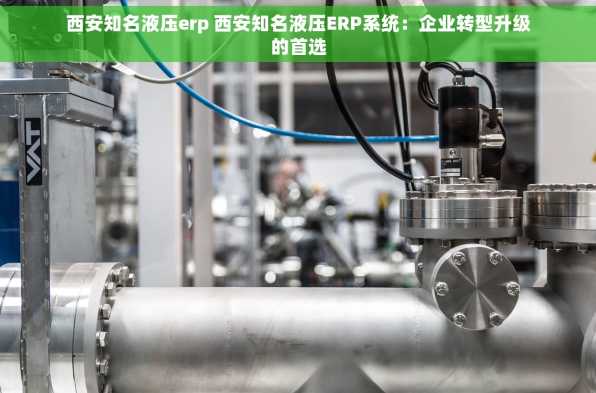 西安知名液压erp 西安知名液压ERP系统：企业转型升级的首选