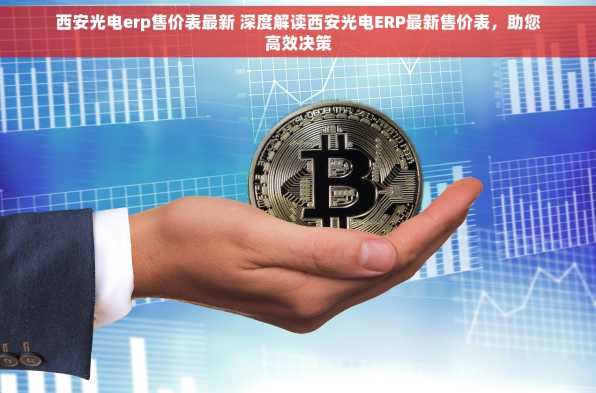 西安光电erp售价表最新 深度解读西安光电ERP最新售价表，助您高效决策