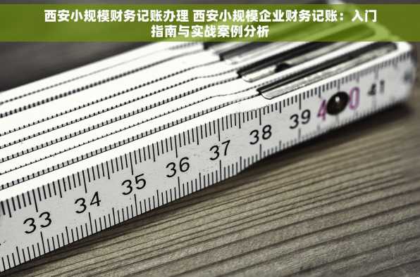西安小规模财务记账办理 西安小规模企业财务记账：入门指南与实战案例分析