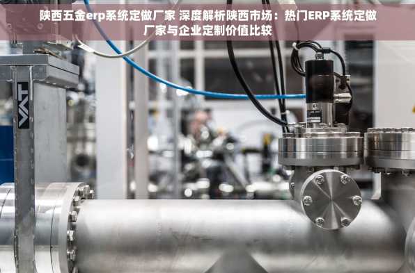 陕西五金erp系统定做厂家 深度解析陕西市场：热门ERP系统定做厂家与企业定制价值比较