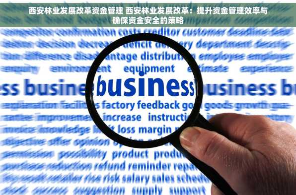 西安林业发展改革资金管理 西安林业发展改革：提升资金管理效率与确保资金安全的策略