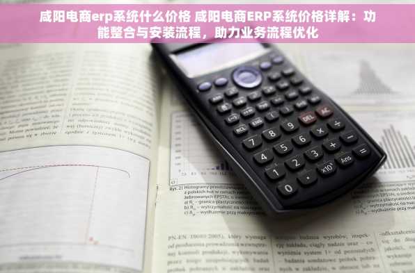 咸阳电商erp系统什么价格 咸阳电商ERP系统价格详解：功能整合与安装流程，助力业务流程优化
