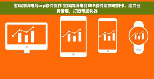 宝鸡跨境电商erp软件制作 宝鸡跨境电商ERP软件定制与制作，助力业务倍增，打造专属利器