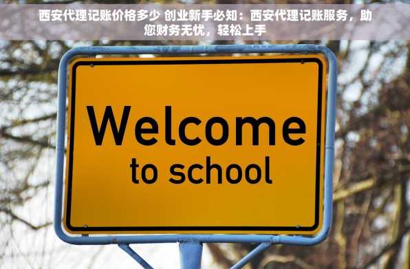西安代理记账价格多少 创业新手必知：西安代理记账服务，助您财务无忧，轻松上手