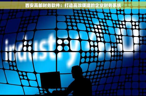 西安高邮财务软件：打造高效便捷的企业财务系统