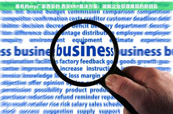 著名的erp厂家西安的 西安ERP解决方案：破解企业管理难题的新钥匙