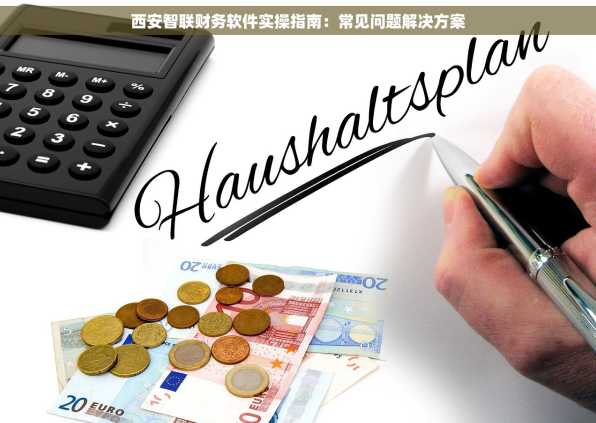 西安智联财务软件实操指南：常见问题解决方案
