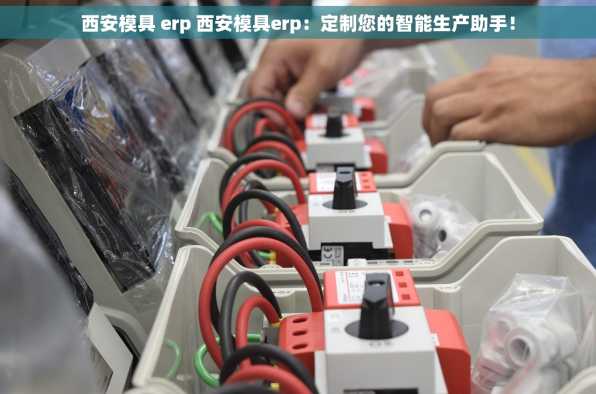 西安模具 erp 西安模具erp：定制您的智能生产助手！