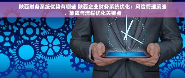 陕西财务系统优势有哪些 陕西企业财务系统优化：风险管理策略、集成与流程优化关键点