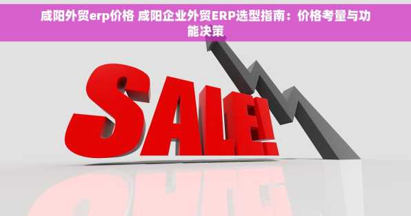 咸阳外贸erp价格 咸阳企业外贸ERP选型指南：价格考量与功能决策
