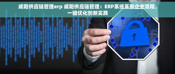 咸阳供应链管理erp 咸阳供应链管理：ERP系统革新企业流程，一键优化创新实践