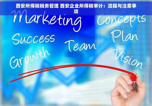西安所得税税务管理 西安企业所得税审计：流程与注意事项