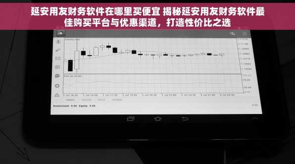延安用友财务软件在哪里买便宜 揭秘延安用友财务软件最佳购买平台与优惠渠道，打造性价比之选