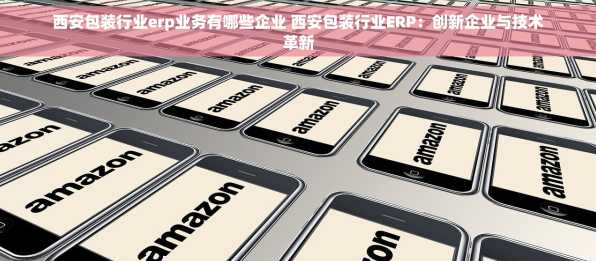 西安包装行业erp业务有哪些企业 西安包装行业ERP：创新企业与技术革新
