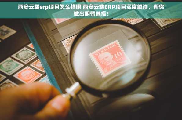 西安云端erp项目怎么样啊 西安云端ERP项目深度解读，帮你做出明智选择！