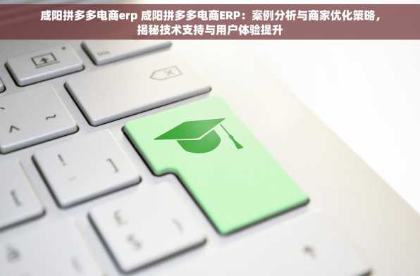 咸阳拼多多电商erp 咸阳拼多多电商ERP：案例分析与商家优化策略，揭秘技术支持与用户体验提升
