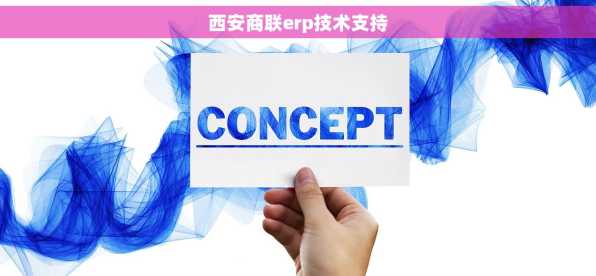 西安商联erp技术支持