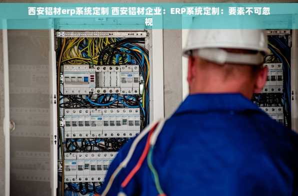 西安铝材erp系统定制 西安铝材企业：ERP系统定制：要素不可忽视