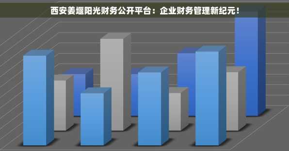 西安姜堰阳光财务公开平台：企业财务管理新纪元！