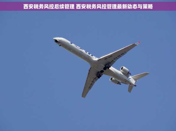 西安税务风控后续管理 西安税务风控管理最新动态与策略