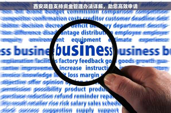 西安项目支持资金管理办法详解，助您高效申请