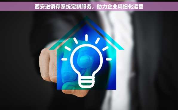 西安进销存系统定制服务，助力企业精细化运营