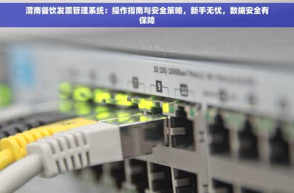 渭南餐饮发票管理系统：操作指南与安全策略，新手无忧，数据安全有保障
