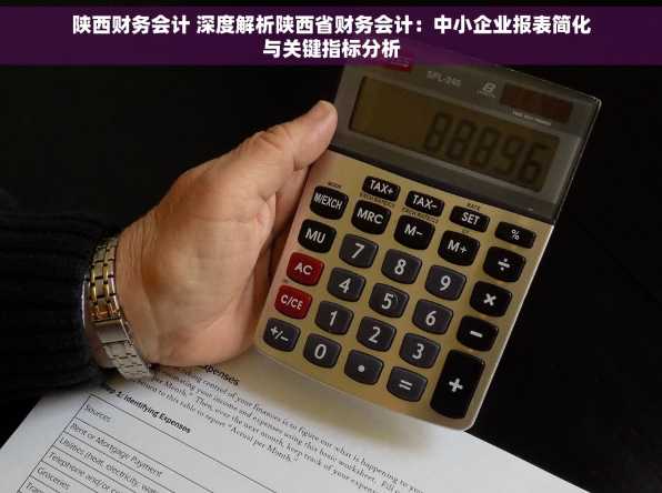 陕西财务会计 深度解析陕西省财务会计：中小企业报表简化与关键指标分析