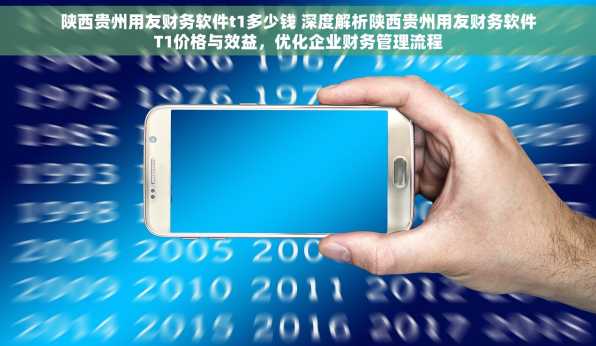 陕西贵州用友财务软件t1多少钱 深度解析陕西贵州用友财务软件T1价格与效益，优化企业财务管理流程