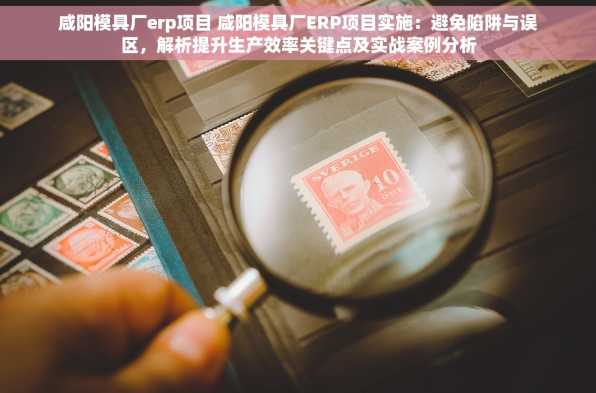 咸阳模具厂erp项目 咸阳模具厂ERP项目实施：避免陷阱与误区，解析提升生产效率关键点及实战案例分析