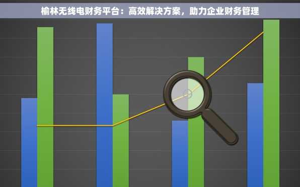 榆林无线电财务平台：高效解决方案，助力企业财务管理