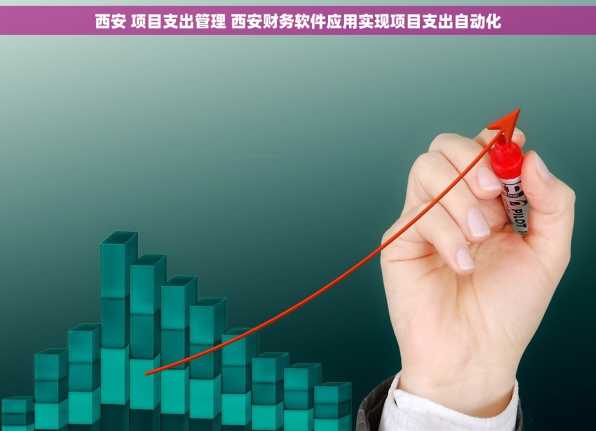 西安 项目支出管理 西安财务软件应用实现项目支出自动化